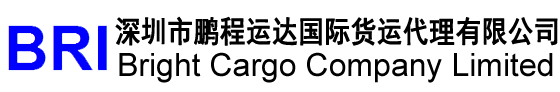 -www.bricargo.com
